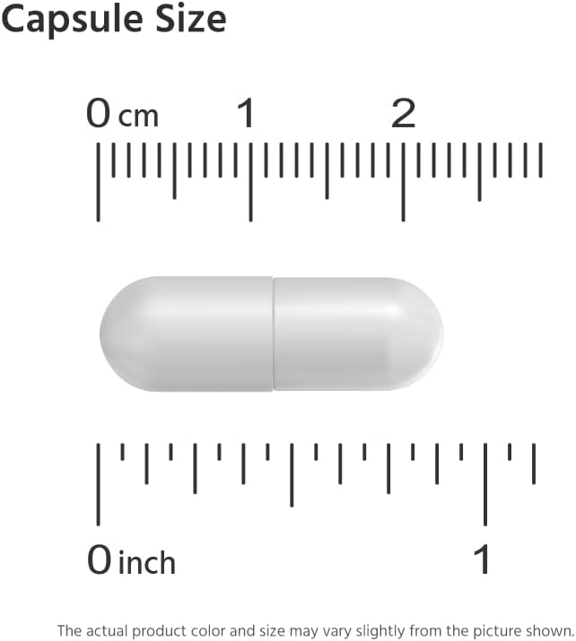 L-Carnitine 1000 mg 360 Capsules. 99.9% Purity L-Carnitine. Supports Energy Production. Fitness Support.