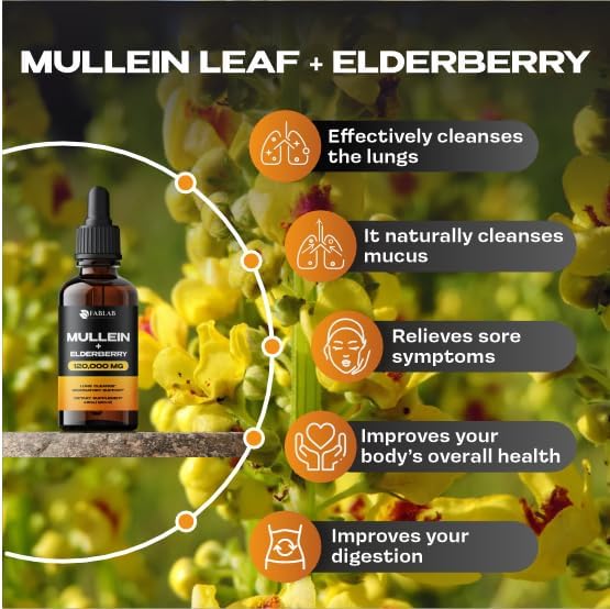 Mullein Leaf Extract with Elderberry 4