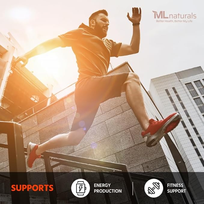L-Carnitine 1000 mg 360 Capsules. 99.9% Purity L-Carnitine. Supports Energy Production. Fitness Support.