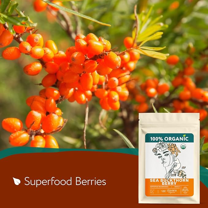 Organic Sea Buckthorn Berry Tea (PACK OF 2) - Seaberries Dried - Rich in Omega Fatty Acids, Antioxidants - Superfood Berries for Tea, Cooking & Baking