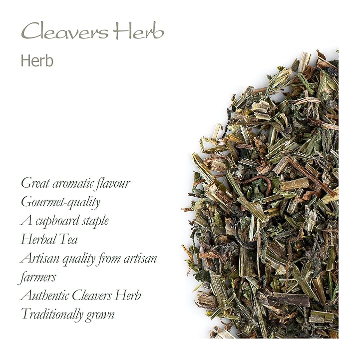 Cleavers Herb Tea Galium Aparine
