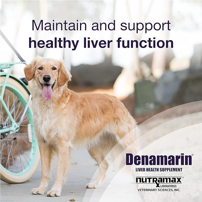 Nutramax Denamarin Liver Health Supplement for Large Dogs - With S-Adenosylmethionine (SAMe) and Silybin, 30Count(Pack of 1)
