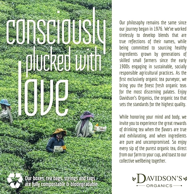 Davidson's Tea Bulk, Green Chai with Orange Peel, 16 Ounce
