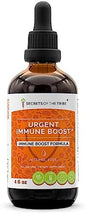 Urgent Immune Boost Alcohol-Free Extract, Tincture, (4 FL