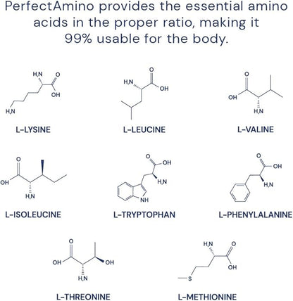 BodyHealth PerfectAmino Powder 30 Servings