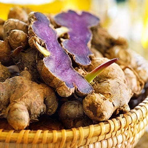 Addictive Wellness Thai Black Ginger 100 Grams,