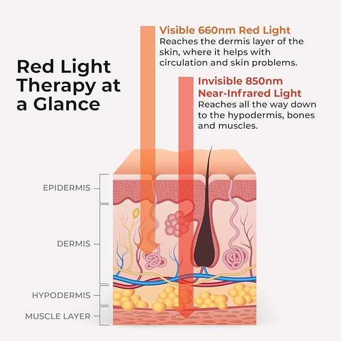 Lifepro Red Light Therapy Belt