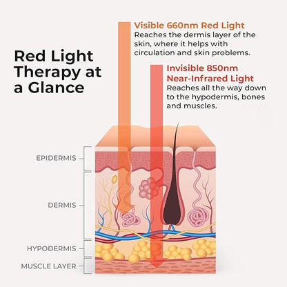 Lifepro Red Light Therapy Belt