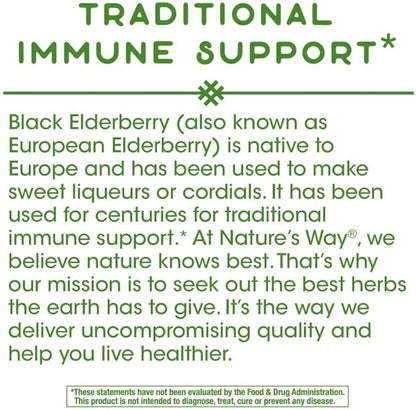 Nature's Way Elderberry, 100 Cap, (Pack 2)