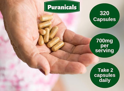 Ginger Premium 320 Capsules Non GMO 700 mg 100% Pure
