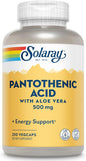 Solaray Pantothenic Acid 500mg - Vitamin B 5 - B Vitamin for Coenzyme-A Production, Energy Metabolism, Digestive Health, Hair Health, Skin and Nails Support - Vegan, 60-Day Guarantee - 250 VegCaps