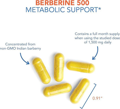 Allergy Research Group Berberine 500mg Supplement 90 Count
