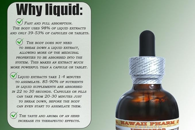 Suma Alcohol-Free Liquid Extract, Suma (Pfaffia 2 fl.oz
