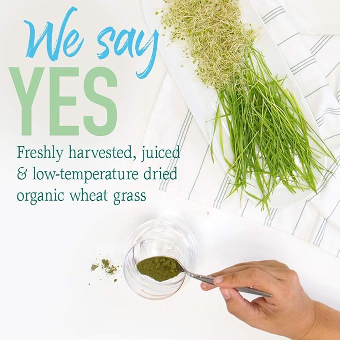 Garden of Life Raw 100% Organic Perfect Food USA Wheat Grass Juice - Green Superfood Powder, 60 Servings - Stevia & Gluten Free, Non-GMO, Vegan, Whole Food Dietary Supplement, 8.46 Oz