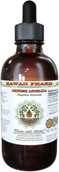 Angelica Chinese Alcohol-Free Liquid Extract, Organic 2 oz