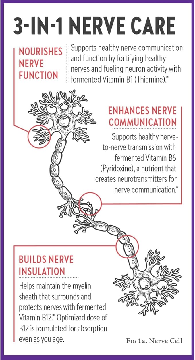 New Chapter Nerve Health Supplement for 3-in-1 Support from Head to Toe - Vitamin B1 Generates Energy for Nerves, Vitamin B6 Enhances Healthy Transmission, Vitamin B12 Builds Insulation, 30ct