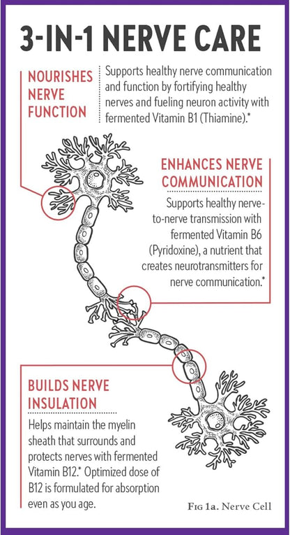 New Chapter Nerve Health Supplement for 3-in-1 Support from Head to Toe - Vitamin B1 Generates Energy for Nerves, Vitamin B6 Enhances Healthy Transmission, Vitamin B12 Builds Insulation, 30ct