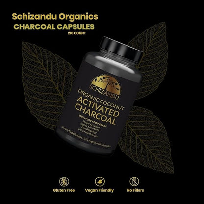 Activated Coconut Charcoal Capsules- Supports Health - Vegan, Organic, Non-GMO, No Additives - X-Large Bottle 210 Count - Pack of 2