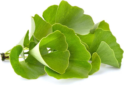 Pure Original Ingredients Ginkgo Biloba Powder (8 oz)