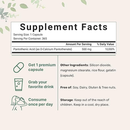 Micro Ingredients Pantothenic Acid Vitamin B5 B5 500mg 500mg Per 365 Capsules (1 Year