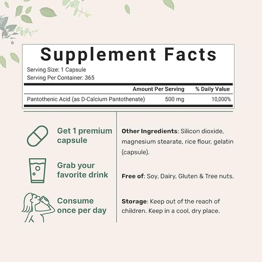 Micro Ingredients Pantothenic Acid Vitamin B5 B5 500mg 500mg Per 365 Capsules (1 Year