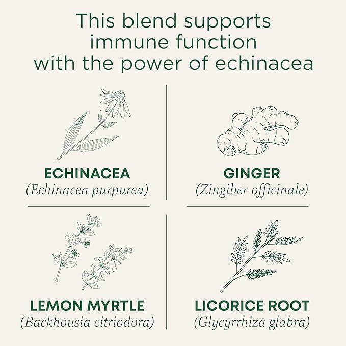 Traditional Medicinals Organic Immune Zoom Lemon Ginger, Supports Immune Function, (Pack of 6) - 96 Tea Bags Total