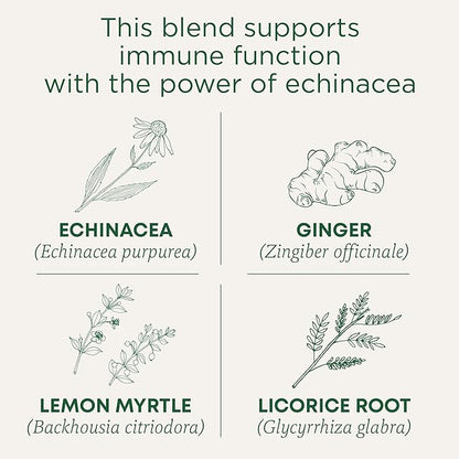 Traditional Medicinals Organic Immune Zoom Lemon Ginger, Supports Immune Function, (Pack of 6) - 96 Tea Bags Total