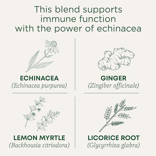 Traditional Medicinals Organic Immune Zoom Lemon Ginger, Supports Immune Function, (Pack of 6) - 96 Tea Bags Total