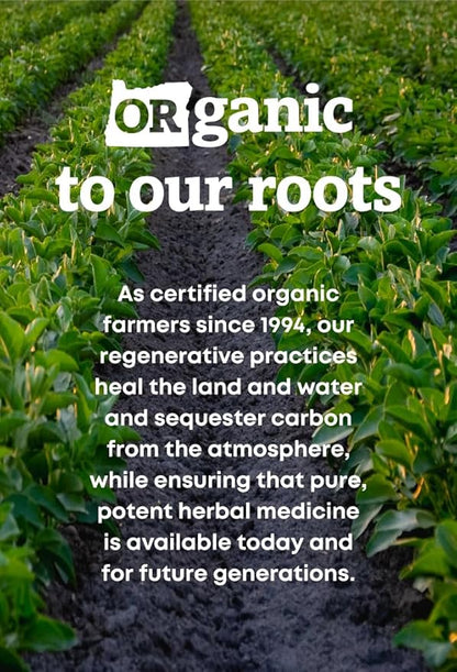Oregon's Wild Harvest Non-GMO Ginkgo Certified 90 Count