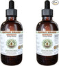 Hawaii Pharm Ginkgo Alcohol-FREE Liquid Extract, 2x4 oz