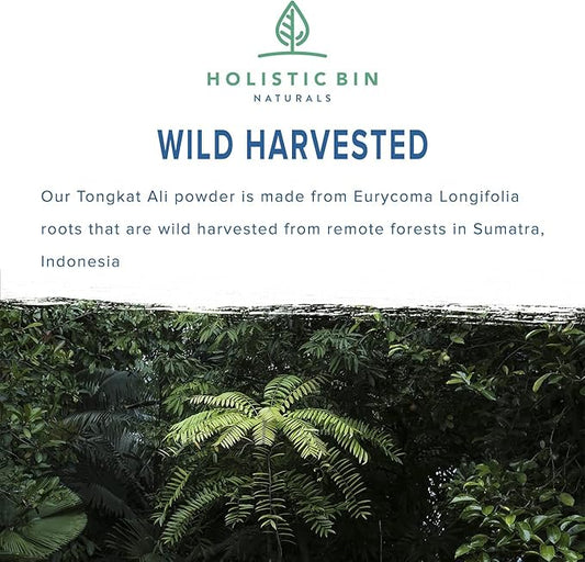 Pure Indonesian Tongkat Ali Powder Pharmaceutical 15+ Year (50g)