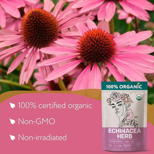 Echinacea Tea Organic (10oz.) – Echinacea Purpurea Herb Loose Leaf – Dried Medicinal Herbs for Tea – Equinacea Organica - Support Immune System, Body Defenses, Andioxidant