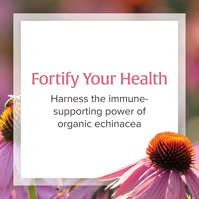 Natural Factors, Anti-V Formula, Echinacea Supplement 120 Softgels