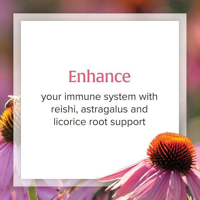 Natural Factors, Anti-V Formula, Echinacea Supplement 120 Softgels