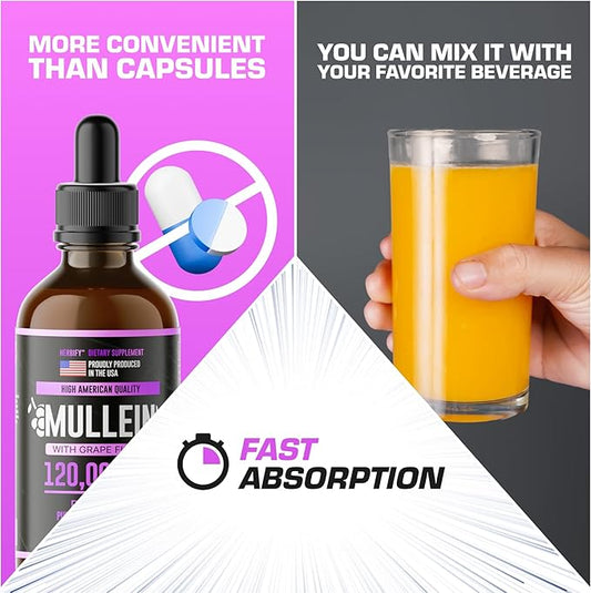 HERBIFY Mullein Drops 4 Oz