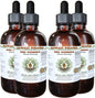 Red Ginseng Alcohol-Free Liquid Extract, Organic 4x4 fl.oz
