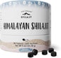 Pure Himalayan Shilajit Tablets 90ct (200mg Each)