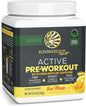 Pre Workout Powder Energy Drink Non-Stim 30 Serving