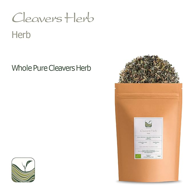 Cleavers Herb Tea Galium Aparine