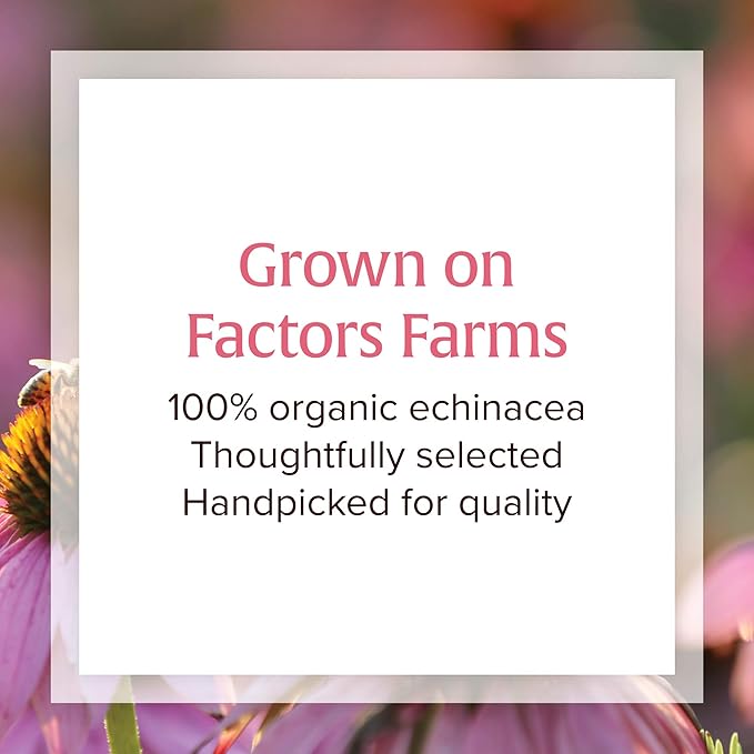 Natural Factors, Anti-V Formula, Echinacea Supplement 120 Softgels