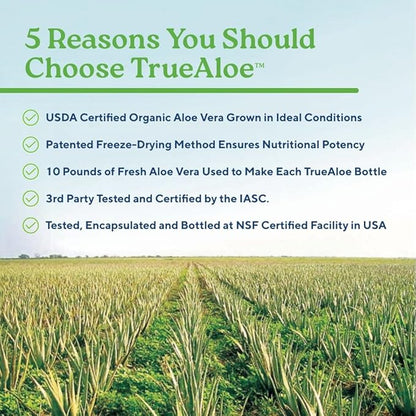 NatureCity True-Aloe 80,000mg Aloe Vera Gel Equivalent Per Serving– Made with Organic Aloe Vera (360 Capsules) Digestive, Skin and Joint Support|Small Easy-to-Swallow Pills