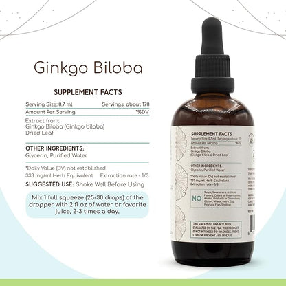 Ginkgo Biloba B120 (2pcs) Alcohol-Free Herbal (2x4 fl