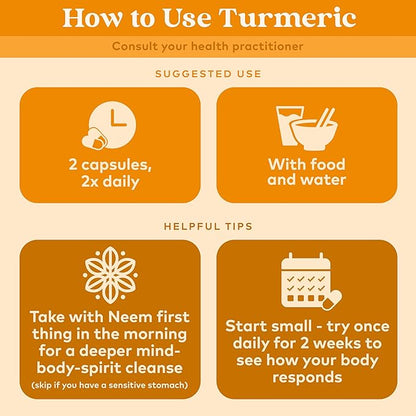 ORGANIC INDIA Turmeric Curcumin with Black Pepper 90 Capsules