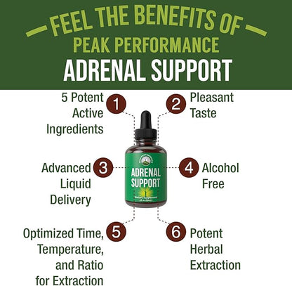 Adrenal Support Supplements To Restore Energy