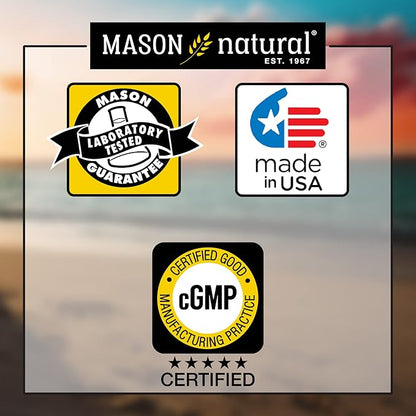 MASON NATURAL Whole Herb Ginkgo Biloba, 60 Day