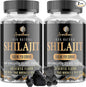 1500MG Shilajit Gummies for Men & Women, Shilajit Pure Himalayan Organic, with Ashwagandha, Sea Moss, Black Seed, Rich in Fulvic Acid, 85+ Trace Minerals, Authentic Flavor, 100% Natural, 120 Gummies