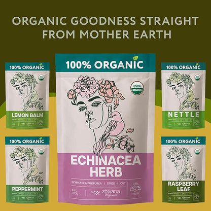 Echinacea Tea Organic (10oz.) – Echinacea Purpurea Herb Loose Leaf – Dried Medicinal Herbs for Tea – Equinacea Organica - Support Immune System, Body Defenses, Andioxidant