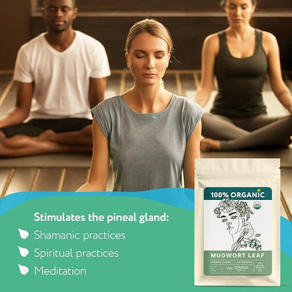 Mugwort Herb Organic Loose Leaf (4oz.) – Artemisia Organic - Artemisa Hierba Seca Organica - Dried Mugwart - Leaves for Tea and Smoking