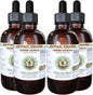 Angelica Chinese Alcohol-Free Liquid Extract, Organic 4x4 oz