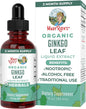 MaryRuth Organics Ginkgo Leaf Liquid Drops 60 Servings